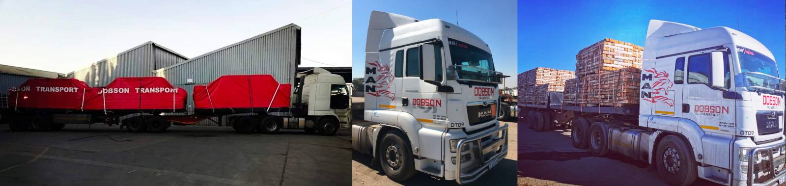 Dobson Fleet